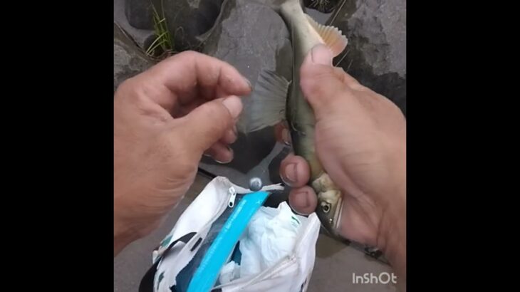 鮎釣り　１０２tres