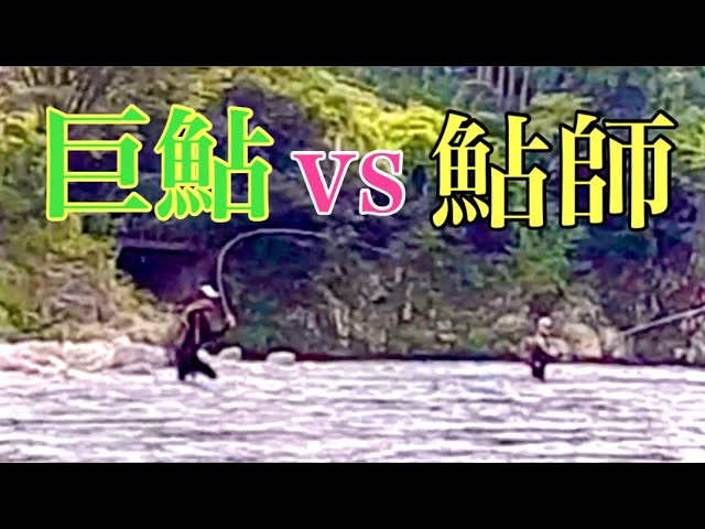 【鮎釣り】巨鮎に振り回される