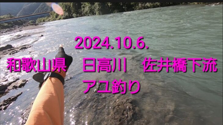 いよいよ終盤、秋のアユ釣り@和歌山　日高川下流　佐井橋下流