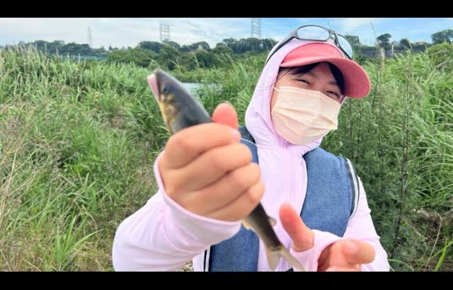 【相模川】誰でも簡単に釣れるアユイングルアーの紹介