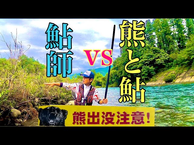 【鮎釣り】たまには熊にも遭遇するんです！？