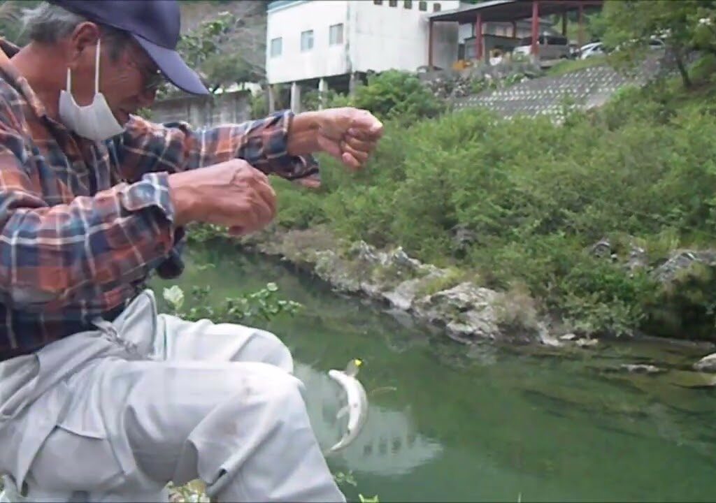 鮎　陸かけ爺ちゃんのワンマンショー