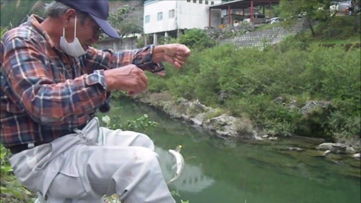 鮎　陸かけ爺ちゃんのワンマンショー