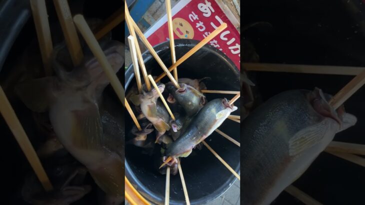 #鮎串焼き