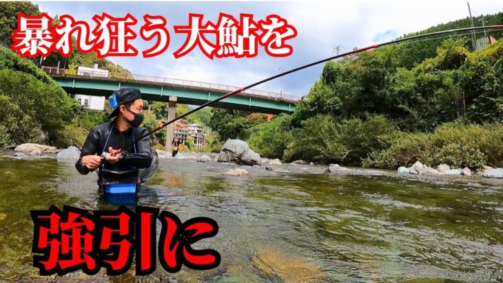 アユ釣り中盤！激流で大暴れする鮎を強引に引きずり出す