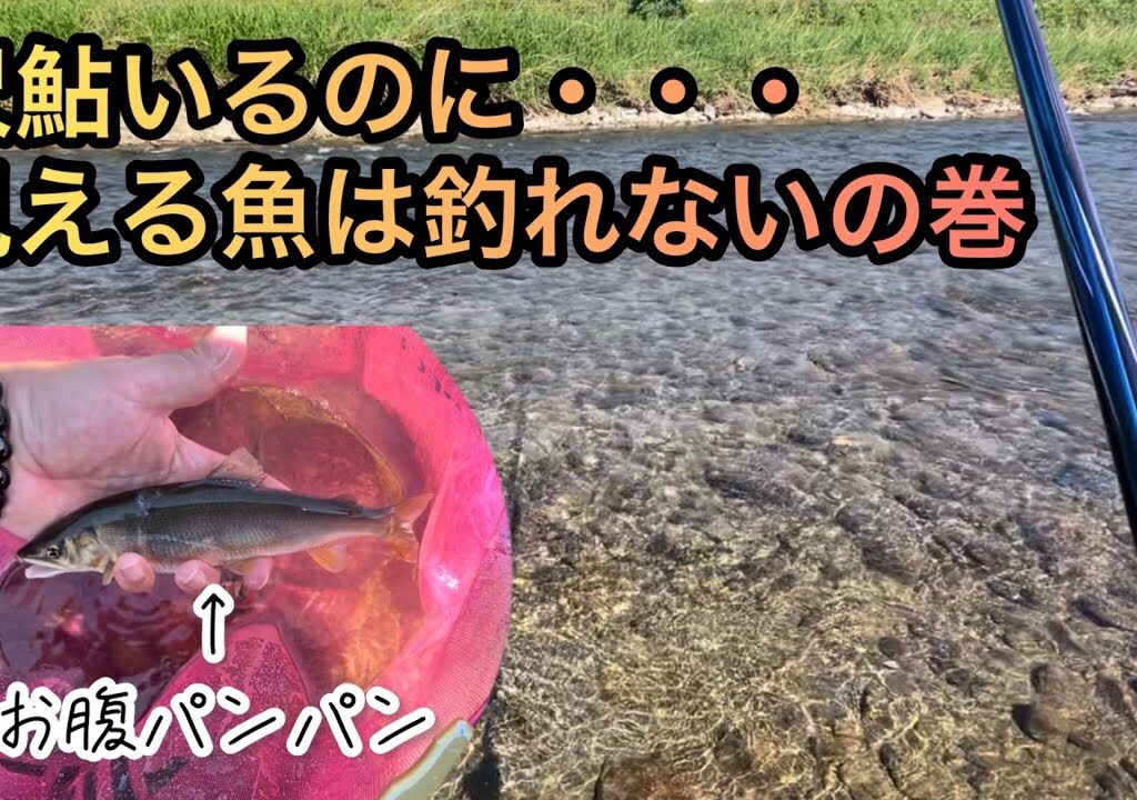 【あきる野市秋川】サマーランド前の鮎釣り
