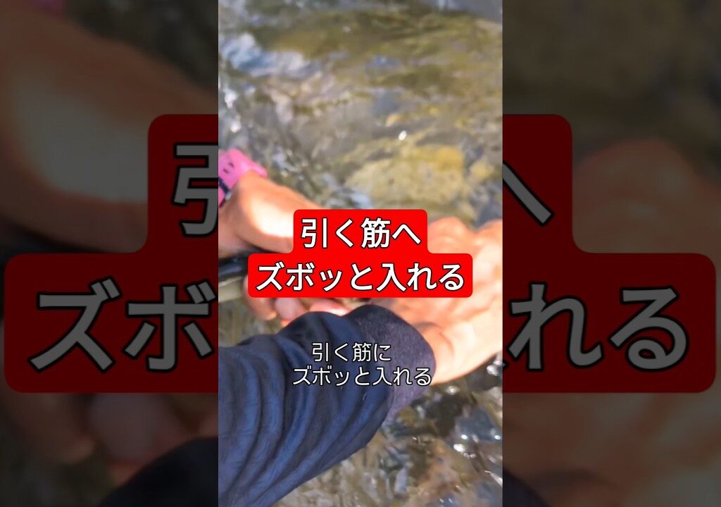 引く筋へズボッと入れる#鮎釣り#友釣り#白川町#白川#友釣り無双