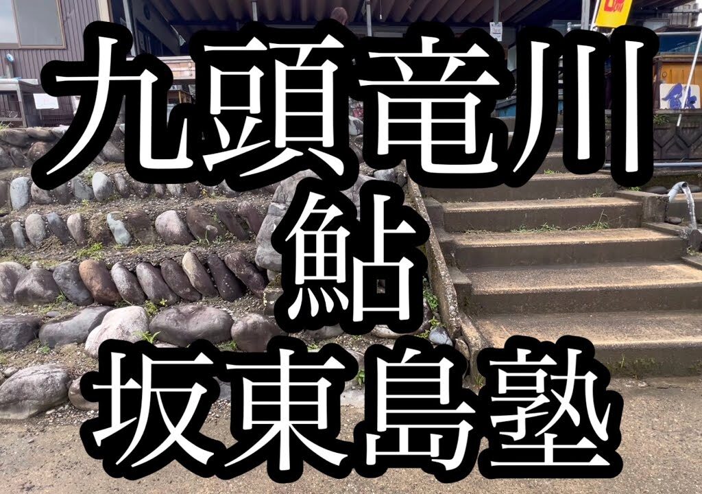 九頭竜川　入れ掛かり　鮎釣り　坂東島塾