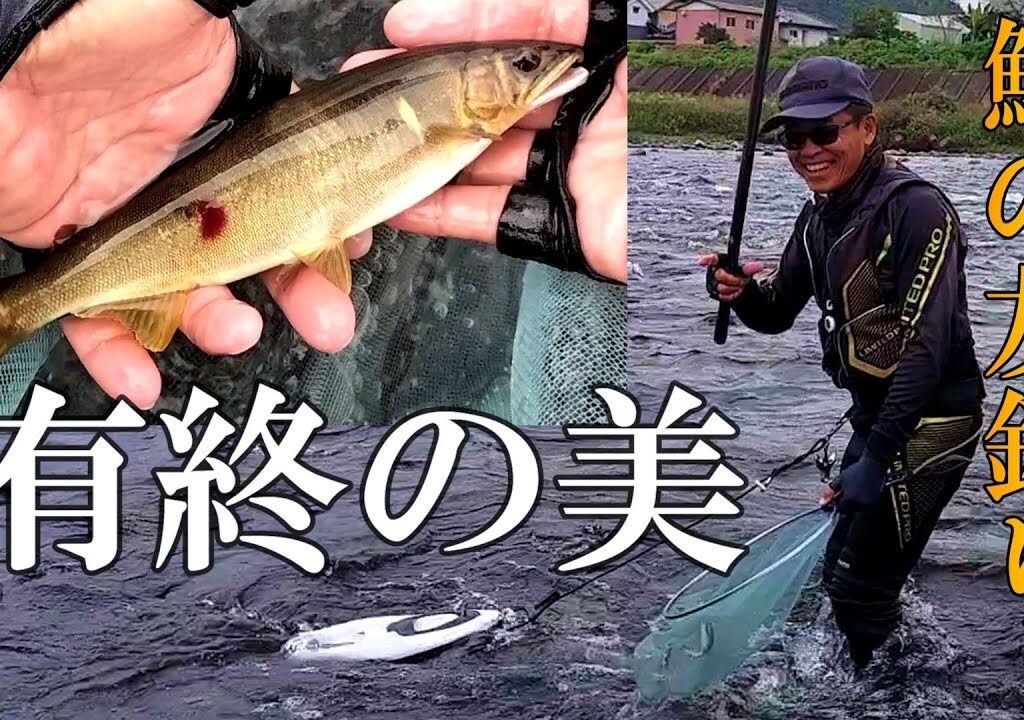 鮎友釣り　今シーズンもありがとうございました／長良川鮎之瀬