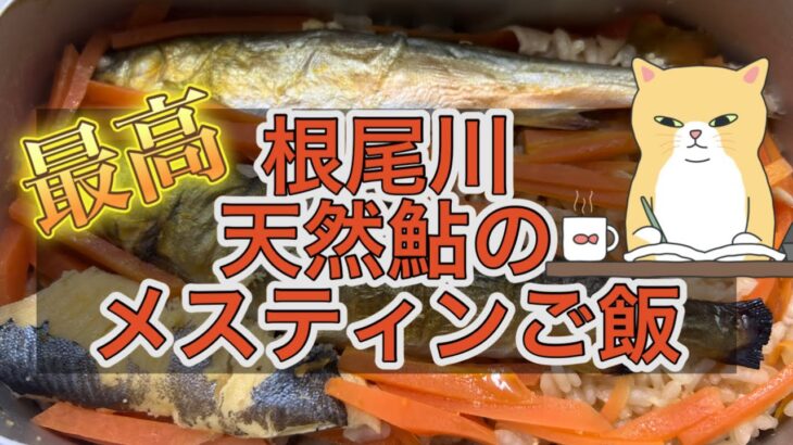 根尾川の天然鮎で夕飯作ってみた🐟かずマックスのメスティン料理