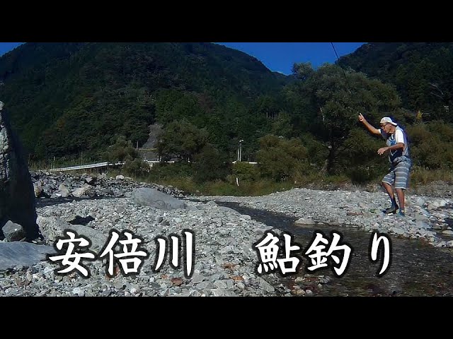 安倍川上流、鮎の餌釣り。