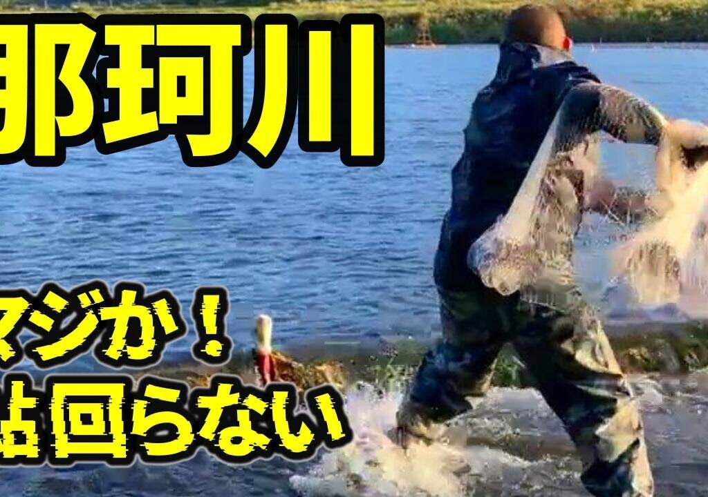【投網 那珂川】 落ち鮎来た プロでもやらかす！なわばり漁の落とし穴（リバヒ）
