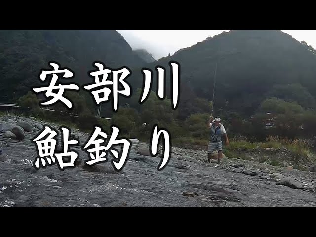 安倍川、鮎釣り。