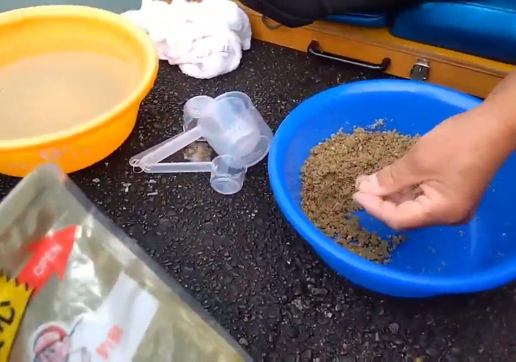 鮎釣りがヘラ鮒釣りを見学