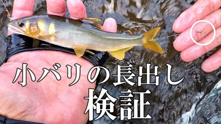鮎釣り　三河職漁師のシークレット仕掛け