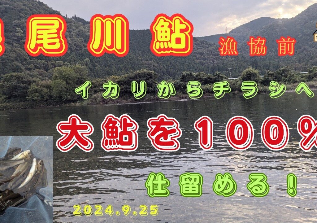 「鮎釣り」根尾川で大鮎をチラシで掛ける