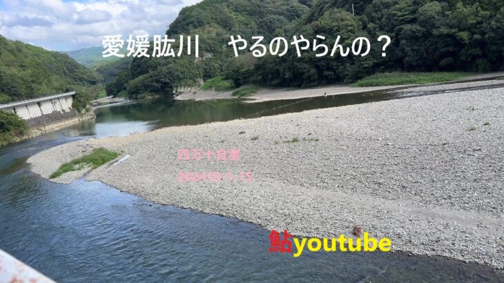 鮎youtube 視聴・・・移動川見 肱川探求