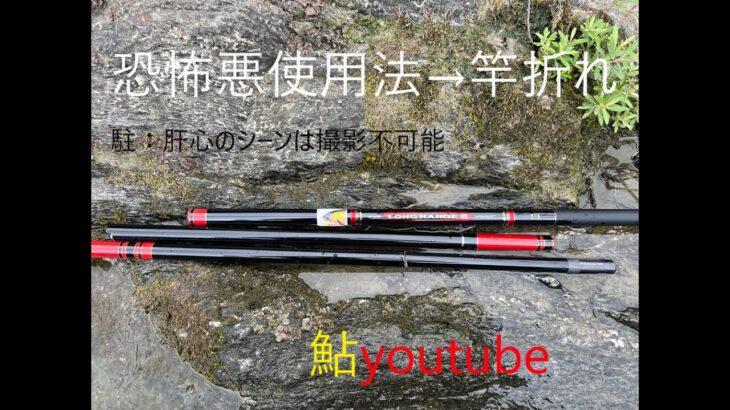 鮎youtube 竿破損 嶺北(8) 肝心のところは映ってない