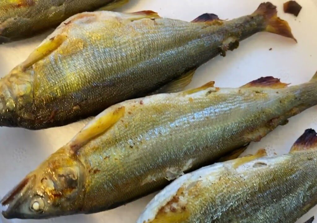 子持ちあゆ(落ち鮎)甘露煮作ってみました 水飴を使うと飴炊き 1万円のオーブントースターと最高級の家庭用オーブン 据付の家庭用グリルでのオーブン比較 焼き比べ