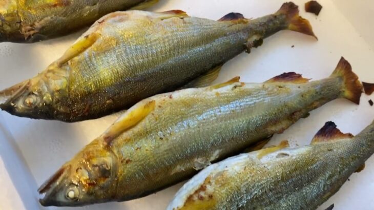 子持ちあゆ(落ち鮎)甘露煮作ってみました 水飴を使うと飴炊き 1万円のオーブントースターと最高級の家庭用オーブン 据付の家庭用グリルでのオーブン比較 焼き比べ