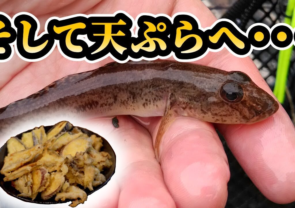 癒しのハゼ釣りに行ってきました。11月1日【閑話的釣行】