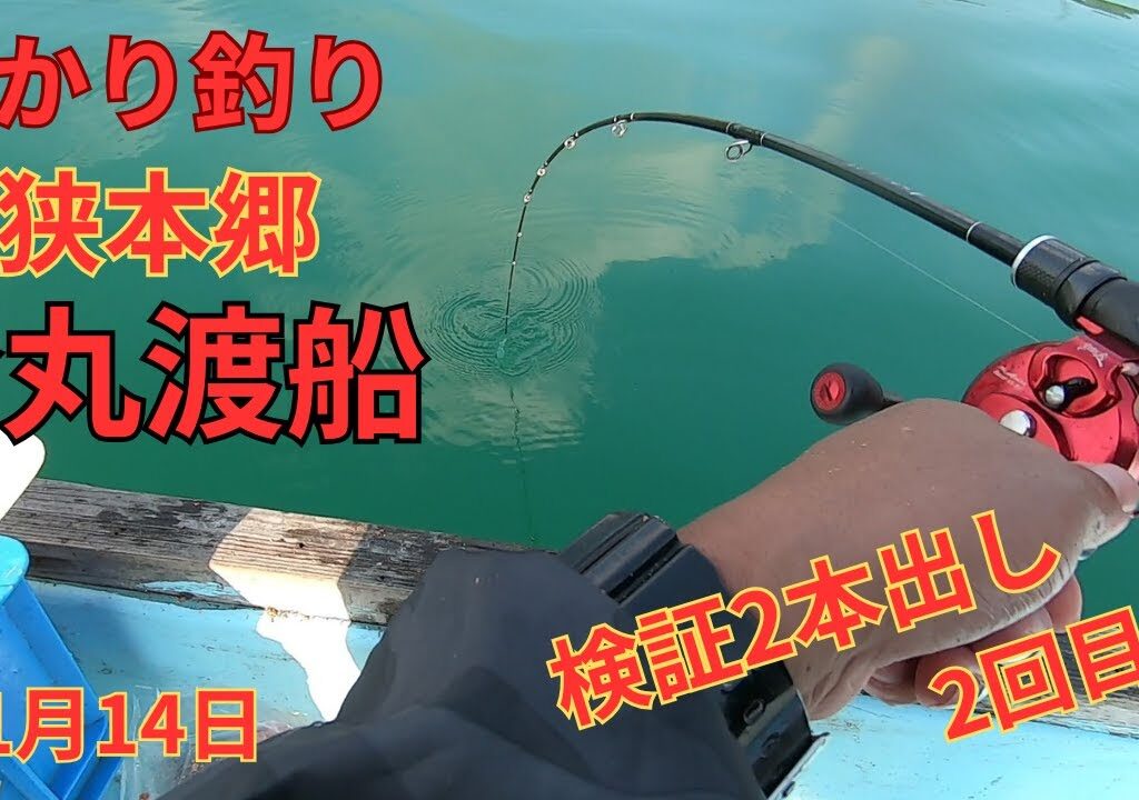 【かかり釣り】若狭本郷金丸渡船11月14日