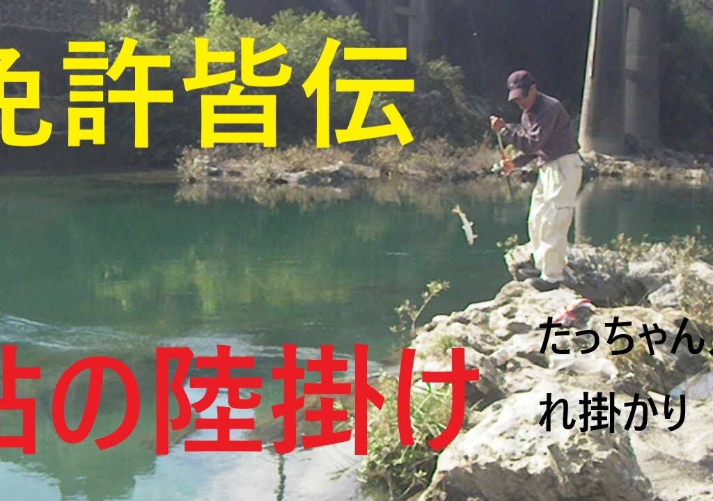 鮎の陸掛け道があれば　もうこれは免許皆伝でしょう　弟子2年目のたっちゃん　入れ掛けです。