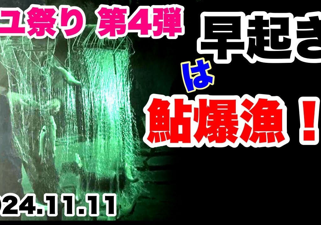 【早起きは鮎爆漁！】大変なことが・・・！(2024.11.11)～肱川～