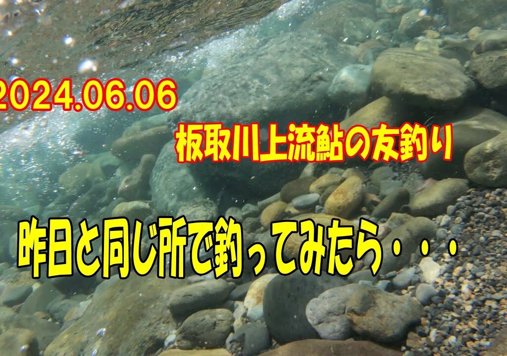 2024.6.6板取川上流鮎の友釣り　昨日と同じ所で釣ってみたら…