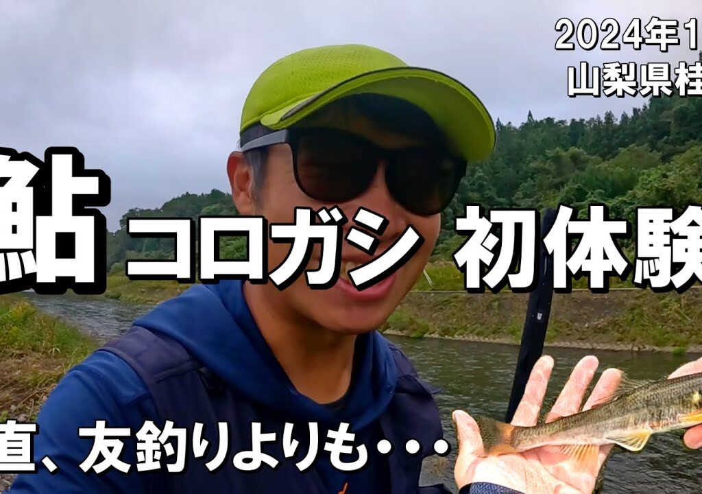 子持ち天然アユの引っ掛け釣りを初心者がやるとこんな感じです。2024年10月山梨県桂川で大鮎の引き味を体験する。