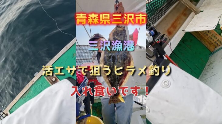 20241027青森県三沢市ヒラメ釣り