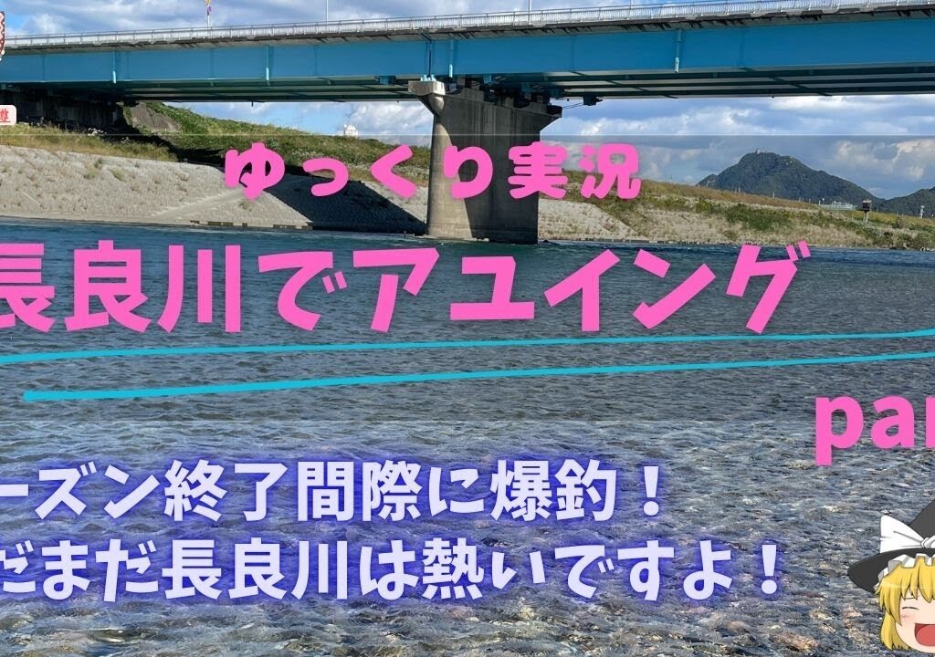 【ゆっくり実況】【長良川アユイング】2024年11月6日今シーズン最後！？の長良川漁協管内の下流部でのアユイング実況動画です。＃ゆっくり釣り＃アユイング＃キャスティングアユ＃長良川漁協