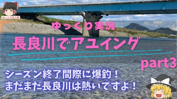 【ゆっくり実況】【長良川アユイング】2024年11月6日今シーズン最後！？の長良川漁協管内の下流部でのアユイング実況動画です。＃ゆっくり釣り＃アユイング＃キャスティングアユ＃長良川漁協