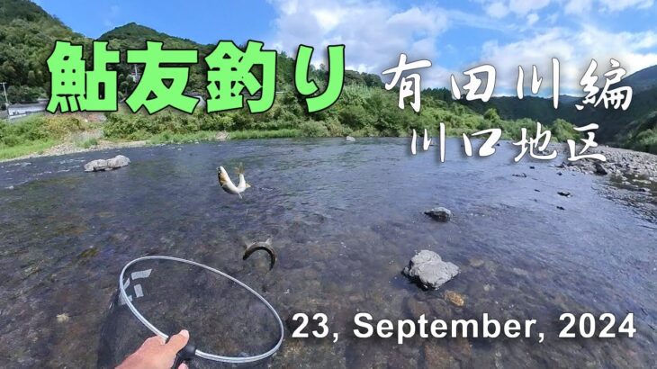 鮎友釣り・有田川編  23, September, 2024