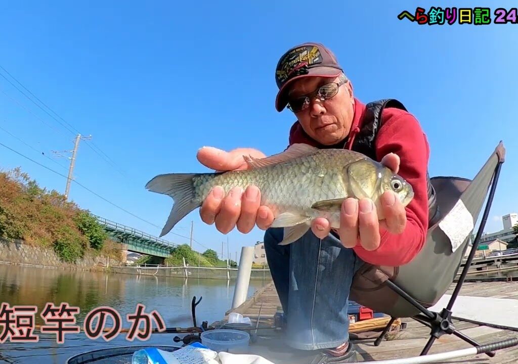 へら釣り日記 24 11 22