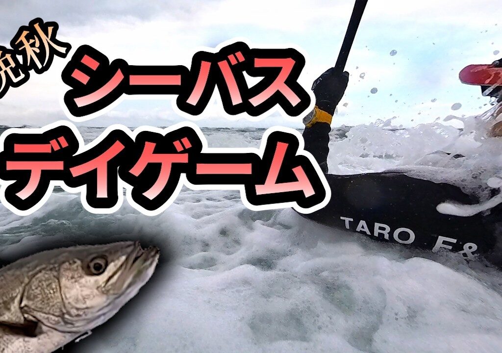 シーバスを探して3カ所めぐる11月のデイ釣行