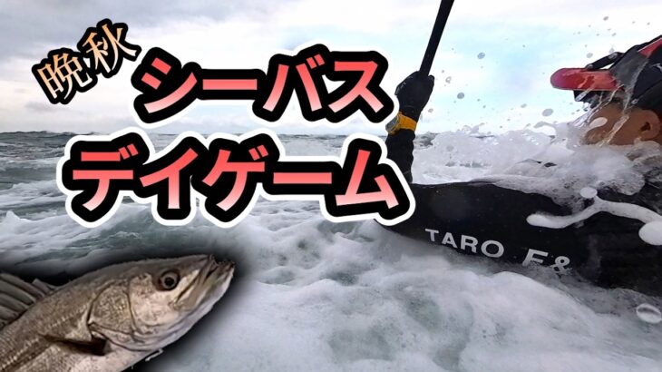 シーバスを探して3カ所めぐる11月のデイ釣行