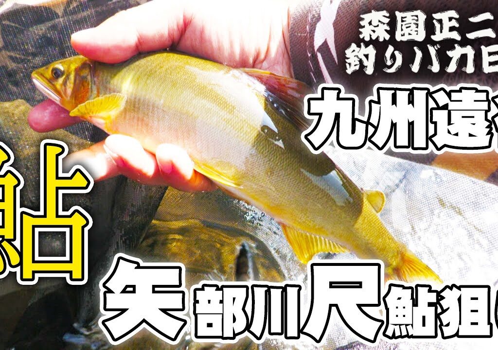九州遠征 【矢部川尺鮎】中州の夜は最高やった！森園正二の釣りバカ41-3