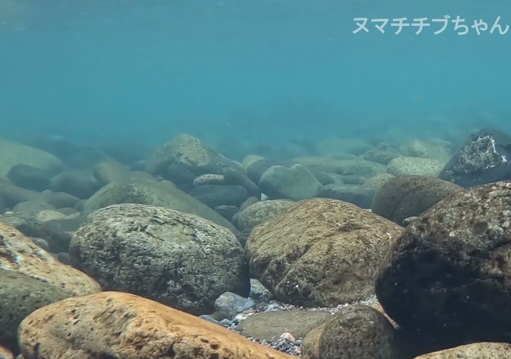 青い板取川≪7分間≫#鮎 The Blue Itadori River≪7min≫【ヌマチチブちゃんねる】