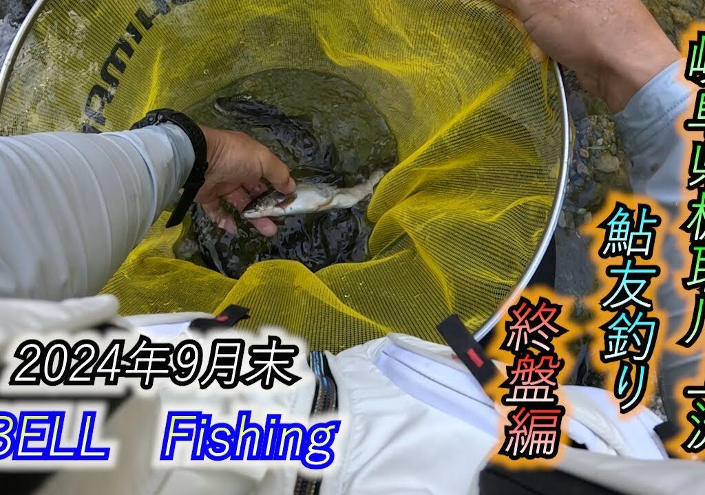 BELL　Fishing　2024年9月末　岐阜県板取川上流　鮎友釣り　終盤編