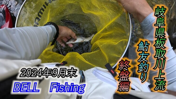 BELL　Fishing　2024年9月末　岐阜県板取川上流　鮎友釣り　終盤編
