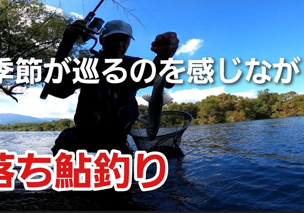 NO60   季節の移ろいを感じながら、今年最後となる落ち鮎釣り！【午後の部】