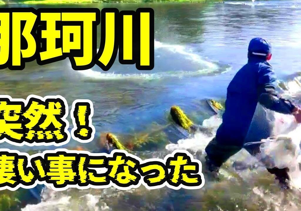 【神回 鮎投網】増水でボロボロの縄張り、諦めたあと物凄いことになった！那珂川 River Healing Channel （リバヒ）