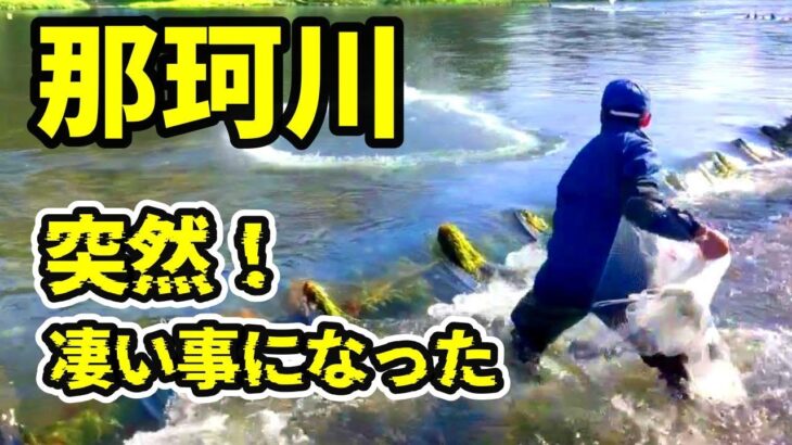 【神回 鮎投網】増水でボロボロの縄張り、諦めたあと物凄いことになった！那珂川 River Healing Channel （リバヒ）