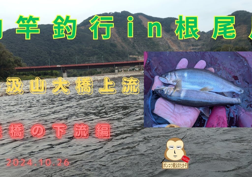 「鮎釣り」　納竿釣行in根尾川　前編