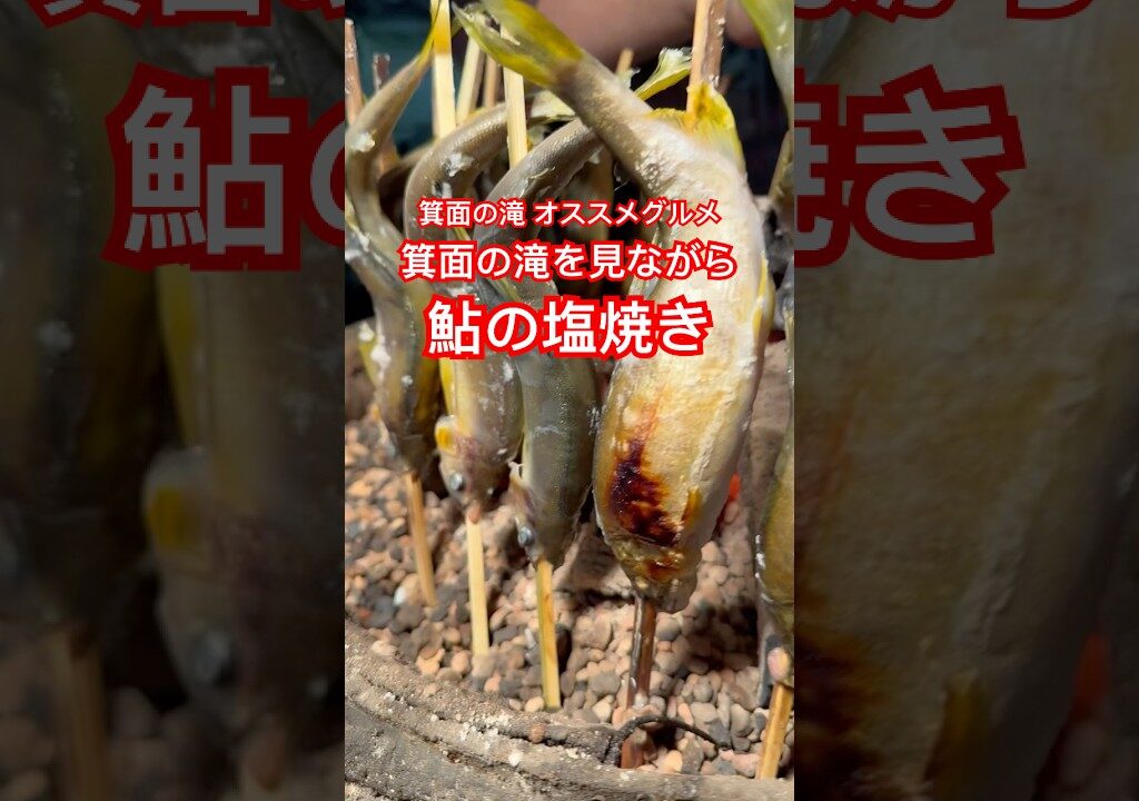 【大阪 箕面の滝オススメグルメ 鮎の塩焼き】箕面の滝を見ながら #箕面の滝 #鮎の塩焼き #大阪観光 #shorts