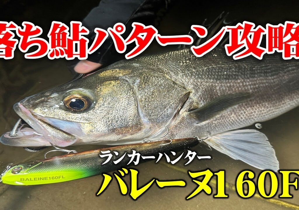 【落ち鮎パターン必須アイテム】全国で通用するバレーヌを使った落ち鮎パターン攻略法【秋田県・雄物川】