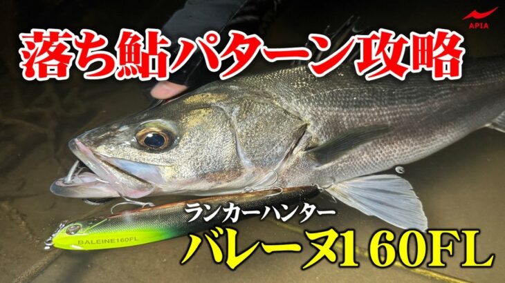 【落ち鮎パターン必須アイテム】全国で通用するバレーヌを使った落ち鮎パターン攻略法【秋田県・雄物川】