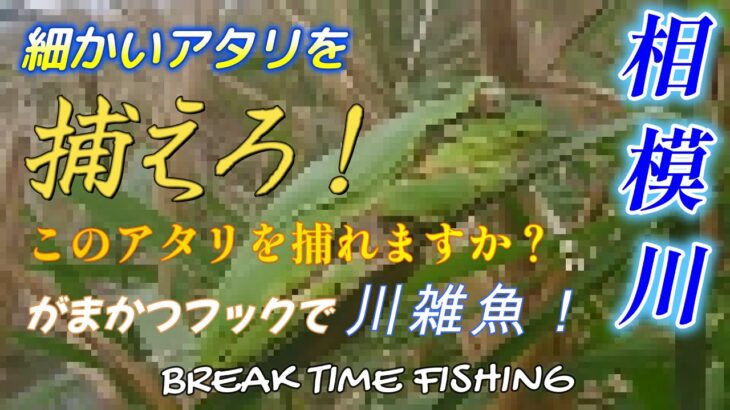 【相模川】細かいアタリを捕えろ！