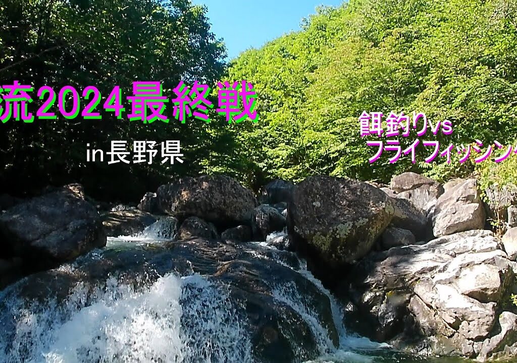 渓流２０２４最終戦！　フライフィッシングは餌釣りに勝てるのか！？